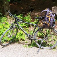 BUR 🏳️‍🌈 (@bur_nuernberg) 's Twitter Profile Photo