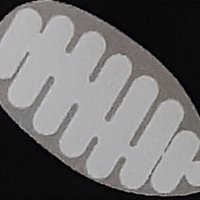 NHS HSS for Rare Mitochondrial Disorders Oxford (@serviceoxford) 's Twitter Profile