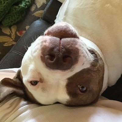 JegiJennifer's profile picture. 