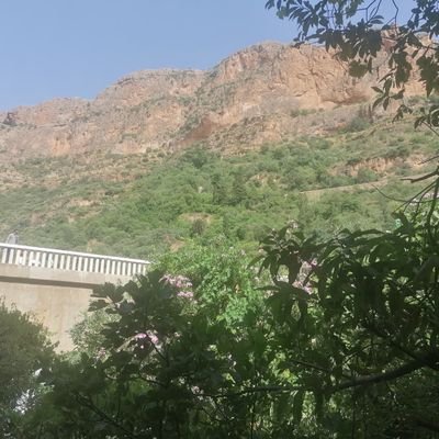 nacerbenayada's profile picture. 