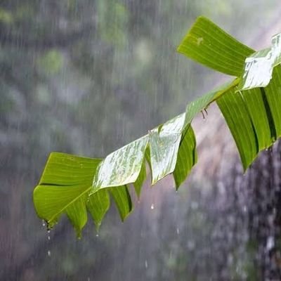 menikmati tiap rintik RahmatNya