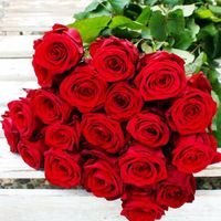 Myriam87029684's profile picture. sencilla