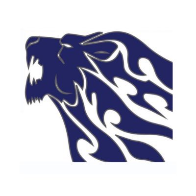 Swslcc's profile picture. Cardiff based cricket club