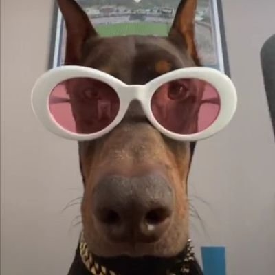 J'débarque sur Twitter.
https://t.co/Q9MfmudDzp
lol.
Putain de 2000