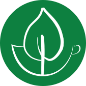 Linden Botanicals(@lindenbotanical) 's Twitter Profile Photo