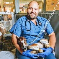 Ilya Slizovskiy, DVM, PhD, MPH (@riskymicrobe) 's Twitter Profile Photo Ilya Slizovskiy, DVM, PhD, MPH (@riskymicrobe) 's Twitter Profile Photo