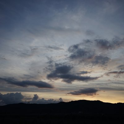 _codeplay's profile picture. 