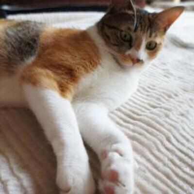 ぬまさくさんのプロフィール画像
