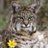 beri_co's profile image