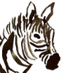 meditative zebra (@meditativezebra) Twitter profile photo