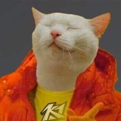 Twitch - https://t.co/lNSVZcfAoR
I am just a chill streamer
having fun and making friends 😊