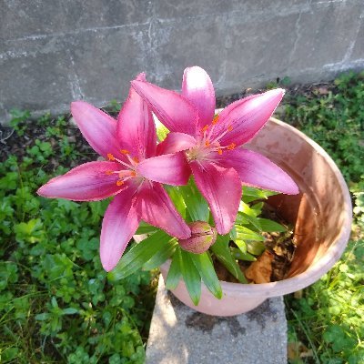 Vikki76473843's profile picture. 