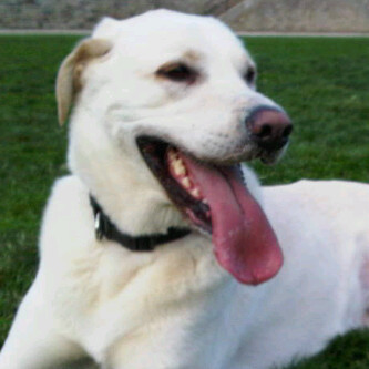 dreamnbeliever's profile picture. 