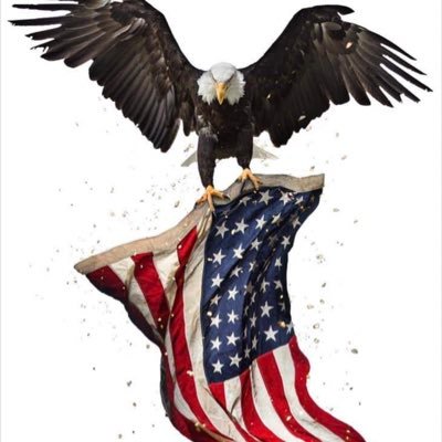 Redsfan90477612's profile picture. I support LGBT,Liquor,Guns,Bacon & Tits