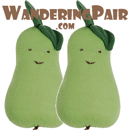 wanderingpair's profile picture. Couple of kids wandering/traveling around and sharing what they learn with others. Where to stay, what to eat, and stories of crazy adventures.