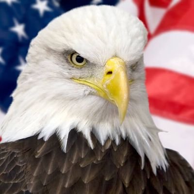 America First Patriot! 🇺🇸