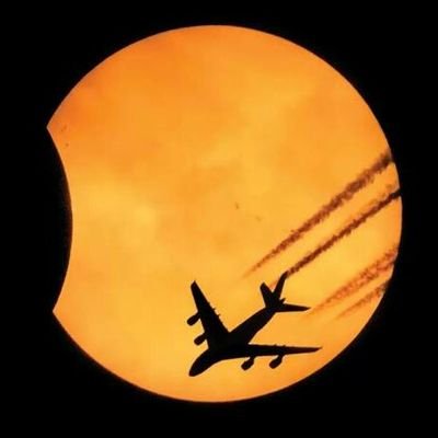 petlovichi's profile picture. 