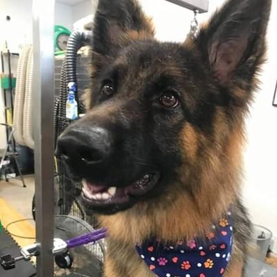 VeraRoddy4's profile picture. aka Very Rowdy