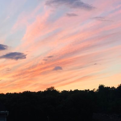 KimmieSeibel's profile picture. 