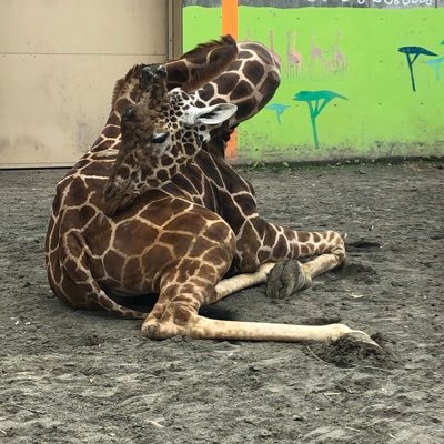 pyl2BkaBVaUfp7A's profile picture. 