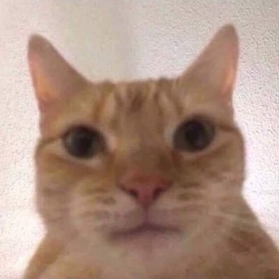 peachyyashh's profile picture. anyways.....