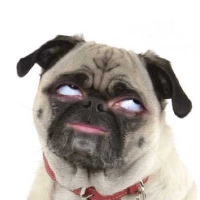 poojira2's profile picture. 