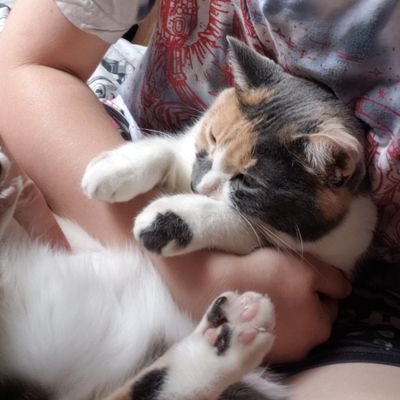 Chris93587474's profile picture. fight the goverment he/him