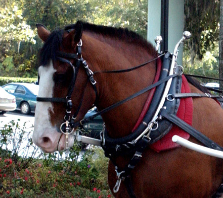 HiltonOcala's profile picture. The Hilton in Ocala Florida