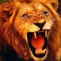 zahid sara (@zahidsara1) 's Twitter Profile