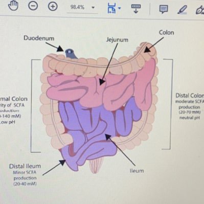 GutFacts's profile picture. 