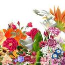 anna aaron - @annaaaron86 - Twitter