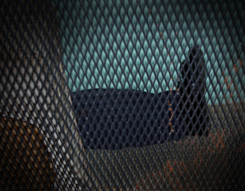 ToTBod's profile picture. Living - or...dying - under the staircase.