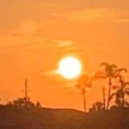 1800_idontcare's profile picture. 