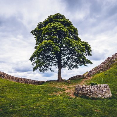 RobBobBob3's profile picture. I sometimes stay stuff