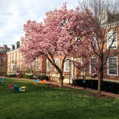 chanjunming's profile picture. 