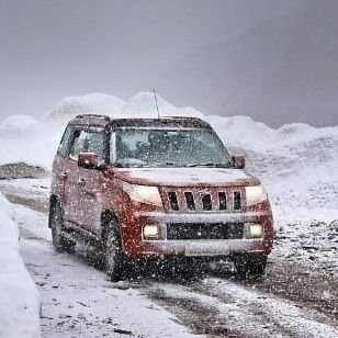 Trulyfalse001's profile picture. Live for NOTHING but, Die for SOMETHING