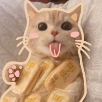 dalixing (@dalixing) 's Twitter Profile