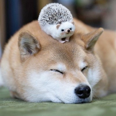 ceof21's profile picture. 