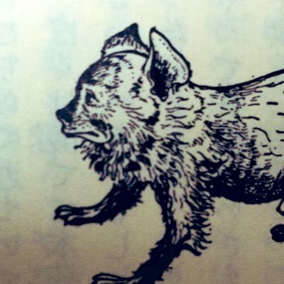 babel_raccoon's profile picture. フジロック/音楽/キャンプ/ストロークスが好き/フジもキャンプもぼっち/メガネサーティワン/Cheese beef bowl