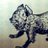 babel_raccoon