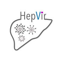 HepVir Team (@hepvirteam) 's Twitter Profile