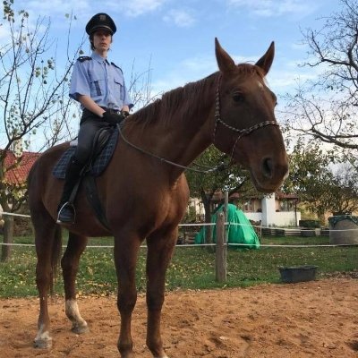 Czech mounted police officer