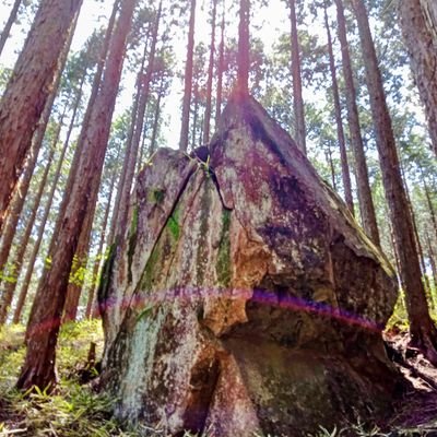 (センスの良い)極上地球、極上野球、極上フィギュアスケート…みんな違って皆イイ個の時代➜個の融合の世へ🍀野球とフィギュアスケートの融合、野球と芸術系の融合…
#プロ野球が変われば日本が変わる世界が変わる
🟡長引く不調、イップスに【心のゴミ出し(音楽的など)】もオススメです♪《世界神樹》柱状節理 #楽伸流 UBI