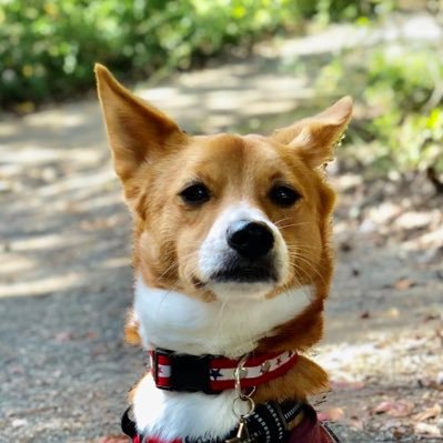 motoki_yasuo's profile picture. 