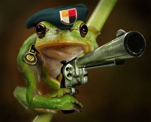 swagonsteroids's profile picture. 