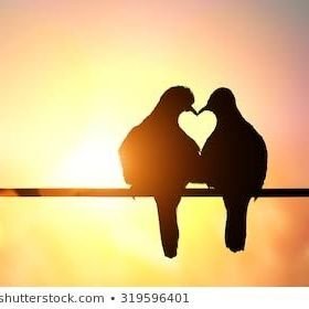 Toni48958931's profile picture. Promise me you’ll always remember: You’re braver than you believe, and stronger than you seem, and smarter than you think.