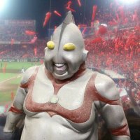 ハチノスケ2 〜怒りのメガトンパンチ〜(@USSR_fit) 's Twitter Profile Photo