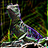 Drazyl's profile image