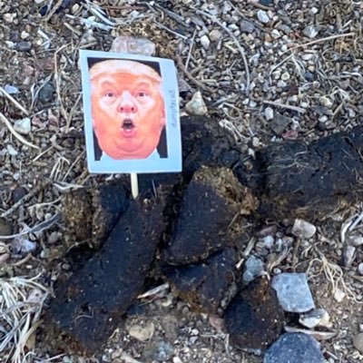 thatsfuckedupb's profile picture. Well that sucks