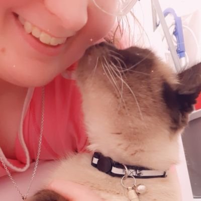 MyaKa96's profile picture. Hitori de iru no ga ichiban raku datta, dareka to issho ni iru to boku wa boku ja nai. 👑
Gomen ne kimi no koto ga suki desu. 💜